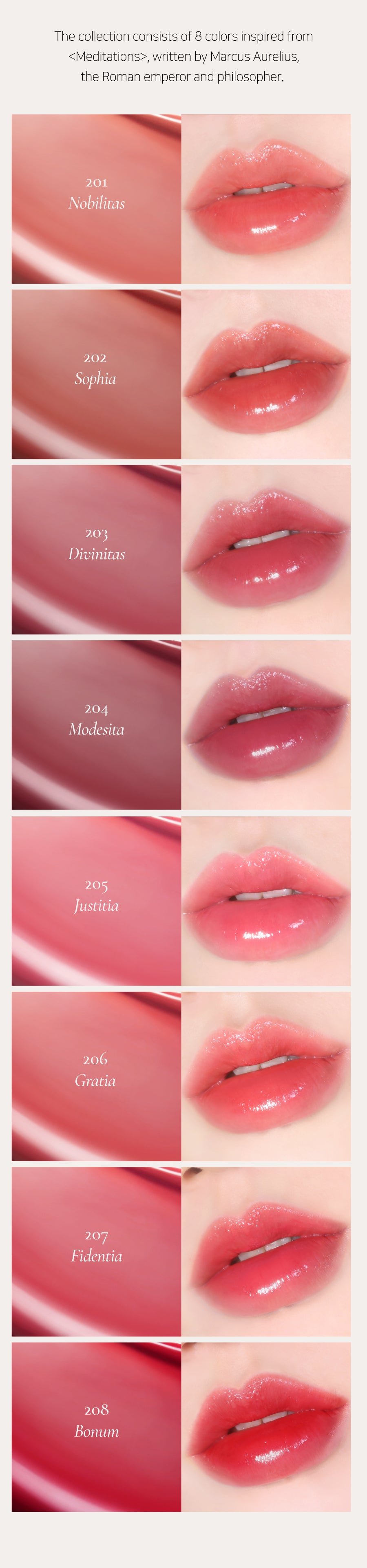 [Dinto] Blur Glowy Lip Tint #204 Modesita