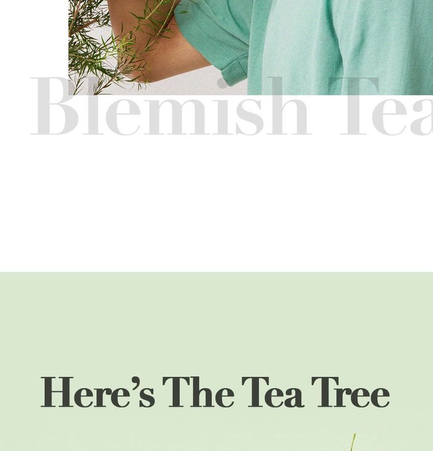 [I DEW CARE] Here's The Tea Tree (10ea)