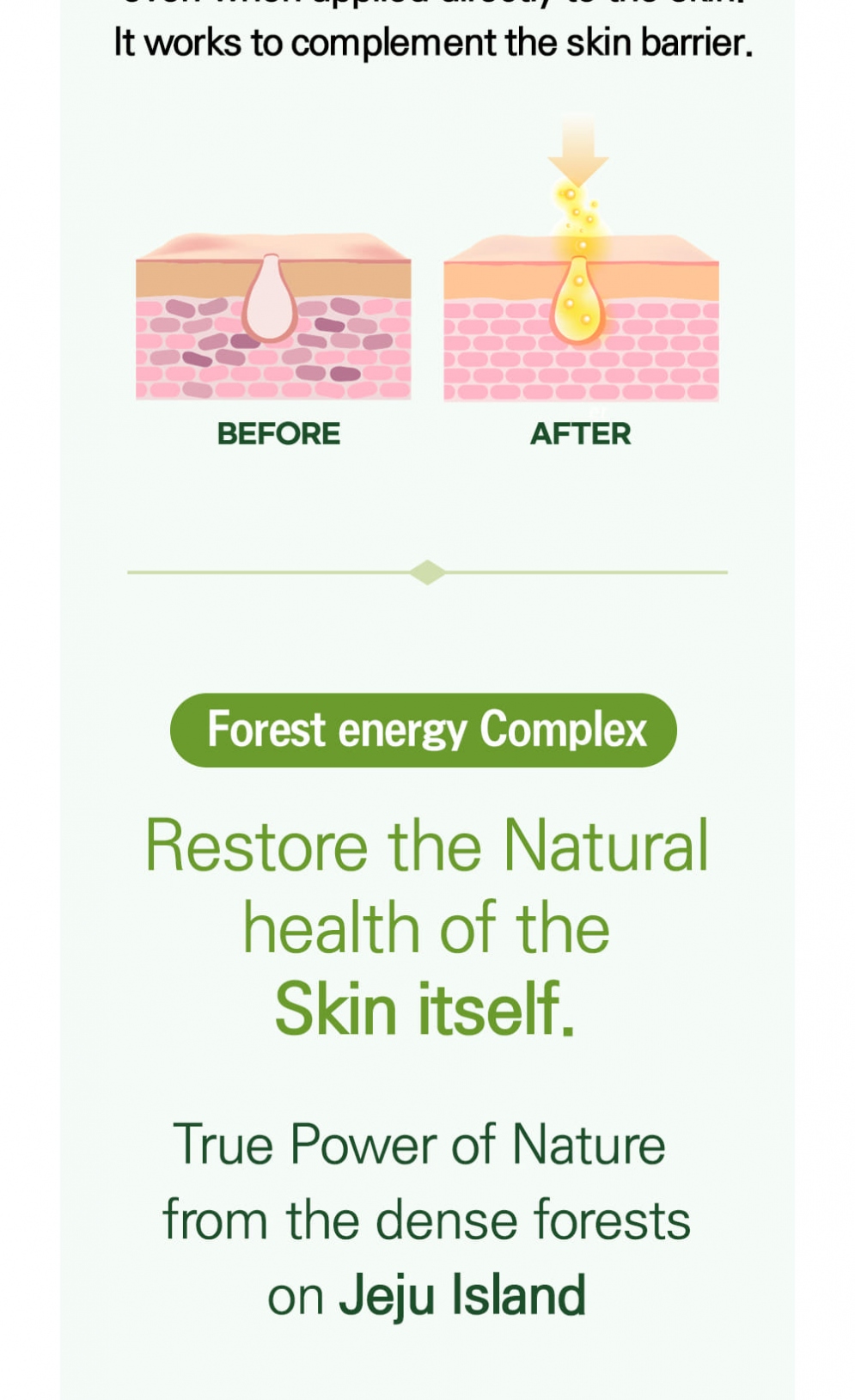 [ABEREDE] Forest Pine Needle Energy Pore Tightening Serum 50ml