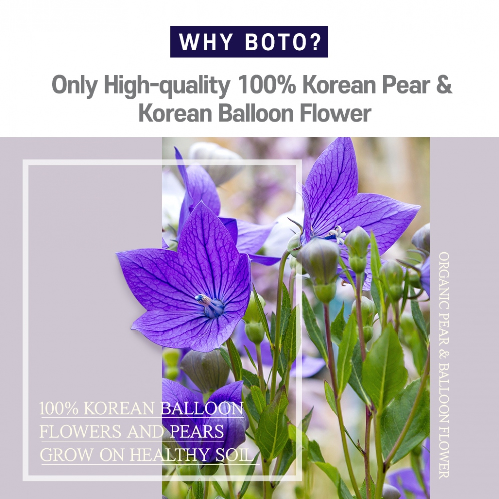 [BOTO] Pear & Balloon Flower Stick 10ml*30 Sticks