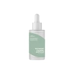 [Isntree] *Renewal* Mugwort Calming Ampoule 50ml