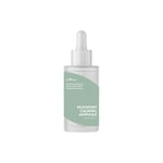 [Isntree] *Renewal* Mugwort Calming Ampoule 50ml