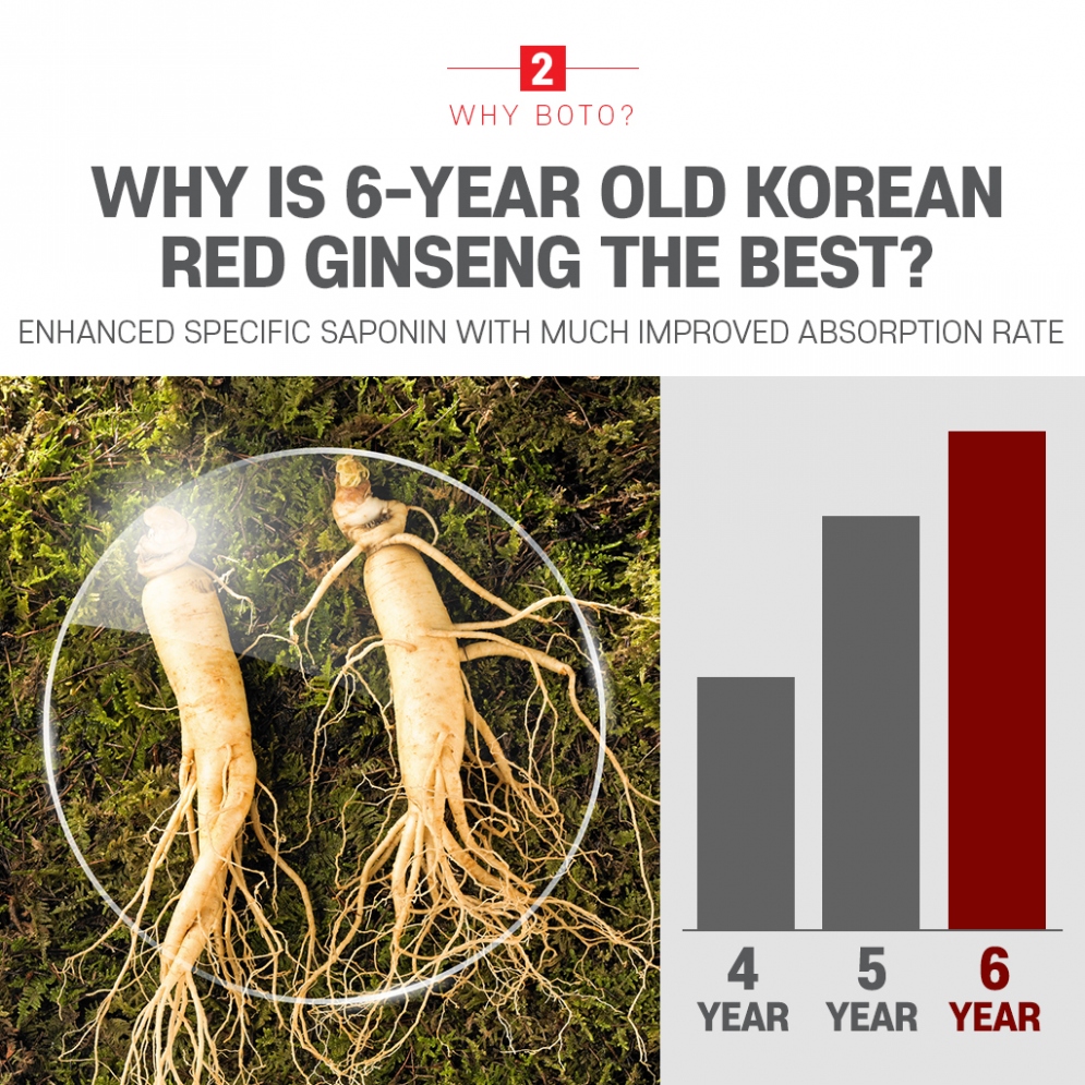 [BOTO]  6 years Korea Red Ginseng Sticks (30 Sticks)