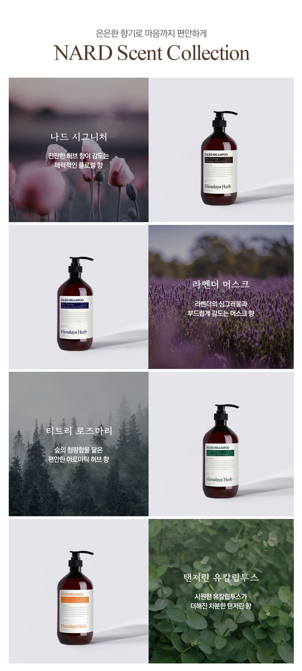 [NARD] Shampoo Lavender Musk 500ml