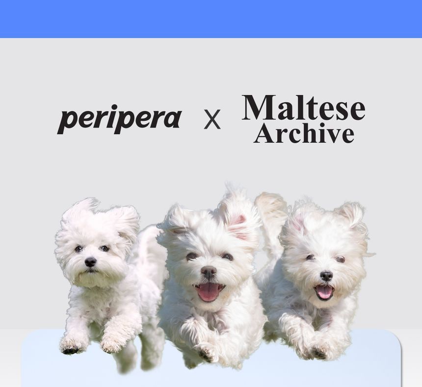 [Peripera] *Maltese Version* Ink Black Cara (3 types)