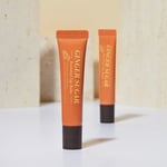 [ETUDE] Ginger Sugar Essential Lip Balm 15ml