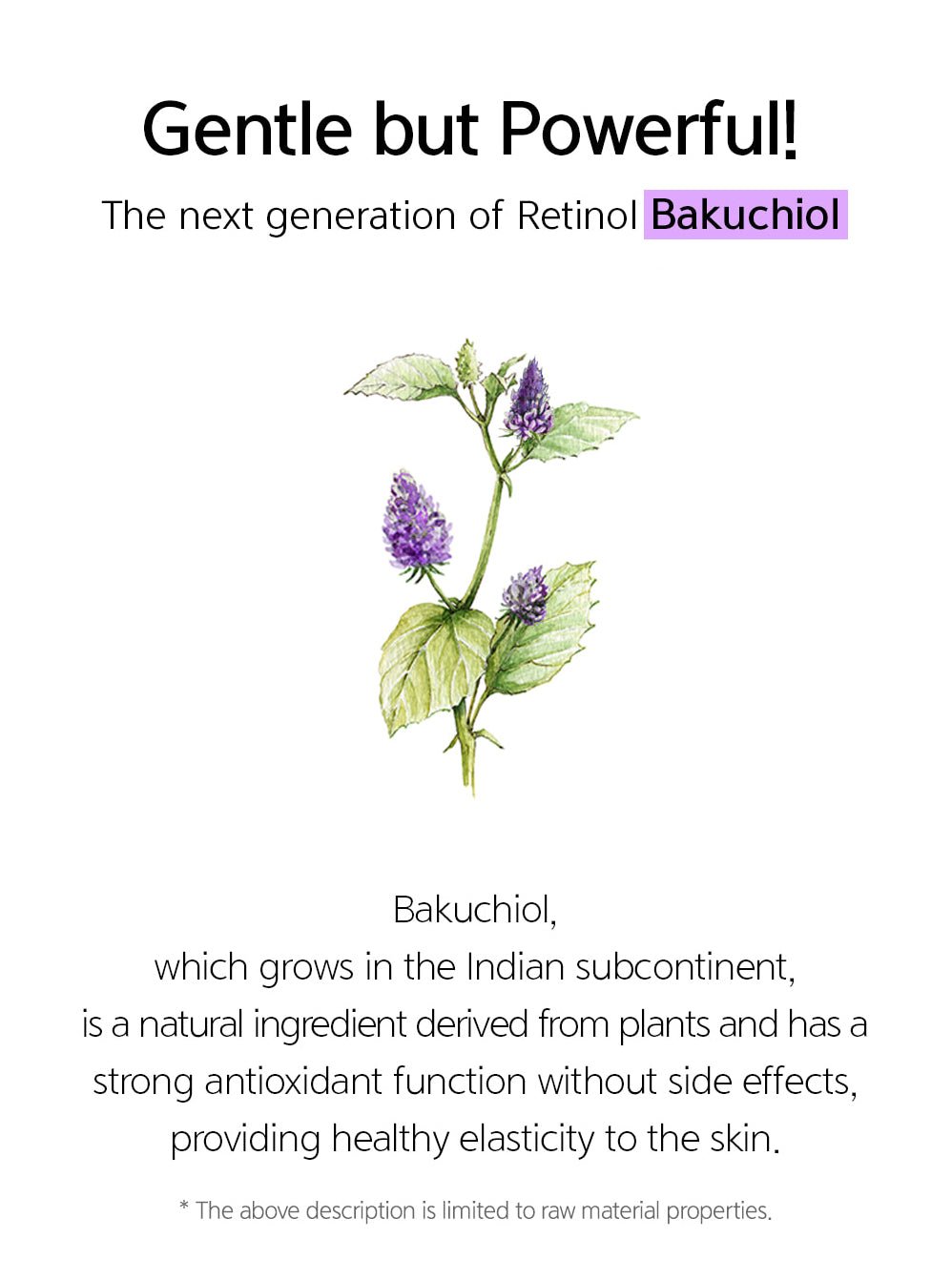 [Nacific] Fresh Herb Origin Cleansing Water Bakuchiol 300ml