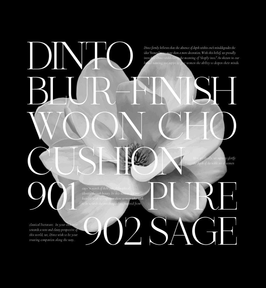 [Dinto] Blur-Finish Wooncho Cushion (2 Colors)