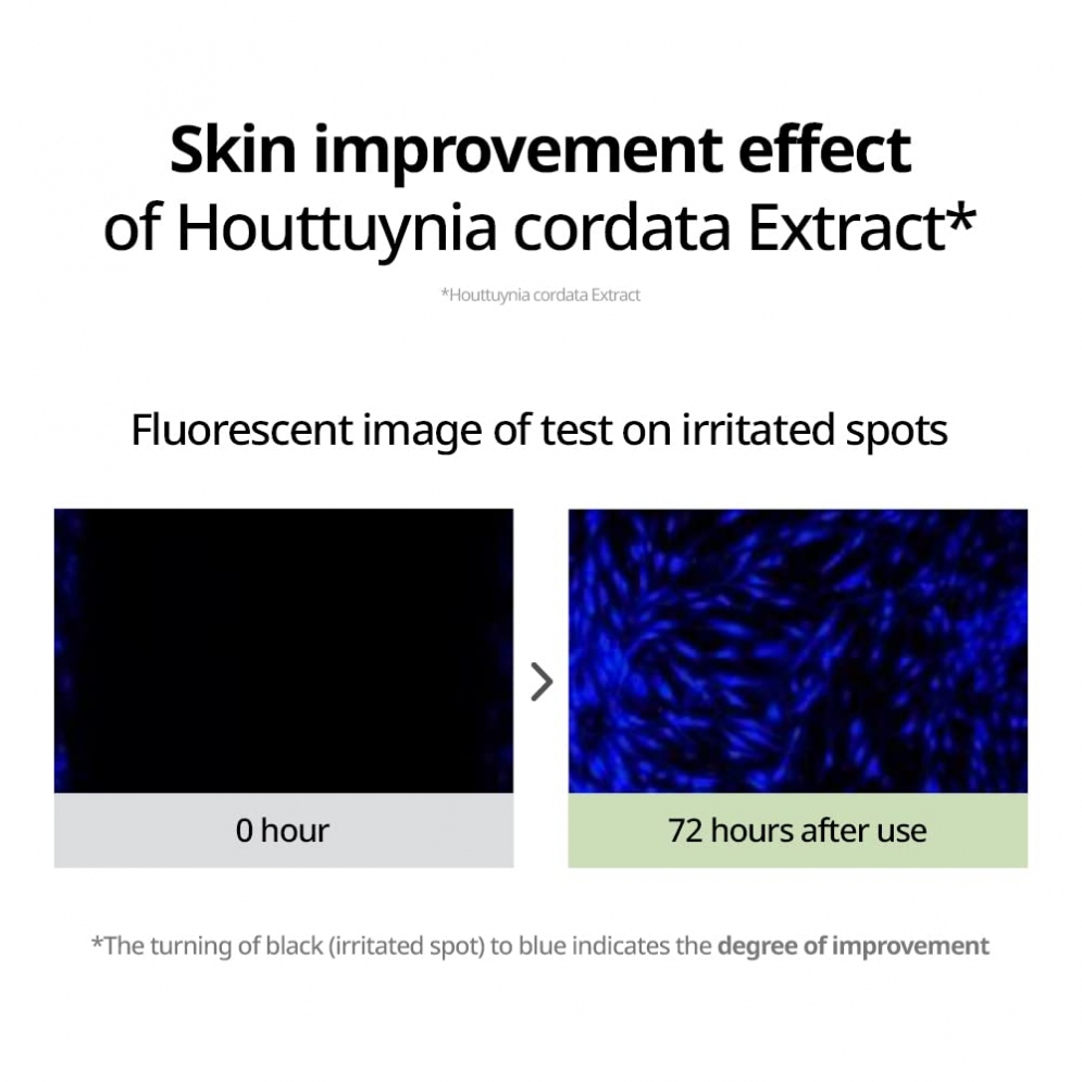 [Goodal] Houttuynia Cordata Calming Mask (5ea)