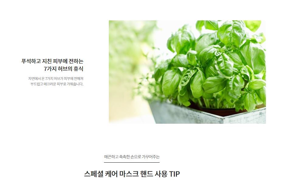 [Innisfree] Special Care Body Mask