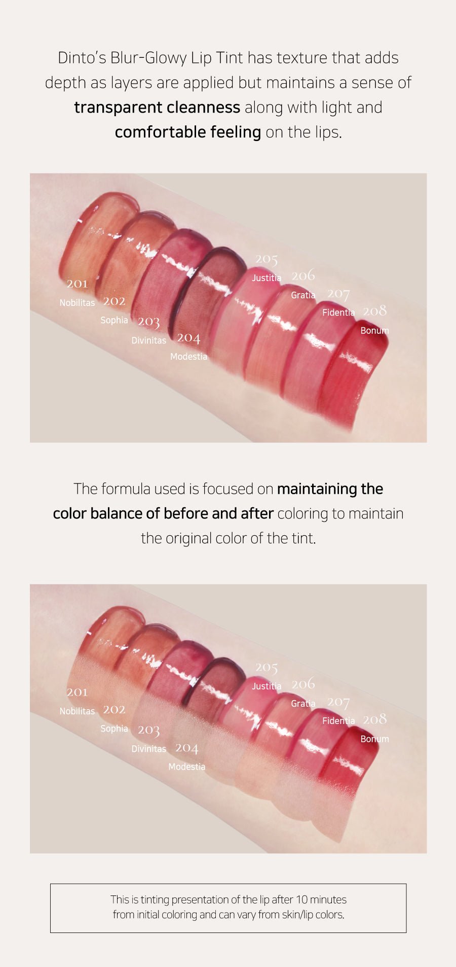 [Dinto] Blur Glowy Lip Tint #204 Modesita