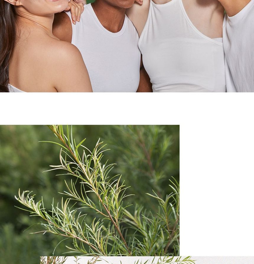 [I DEW CARE] Here's The Tea Tree (10ea)