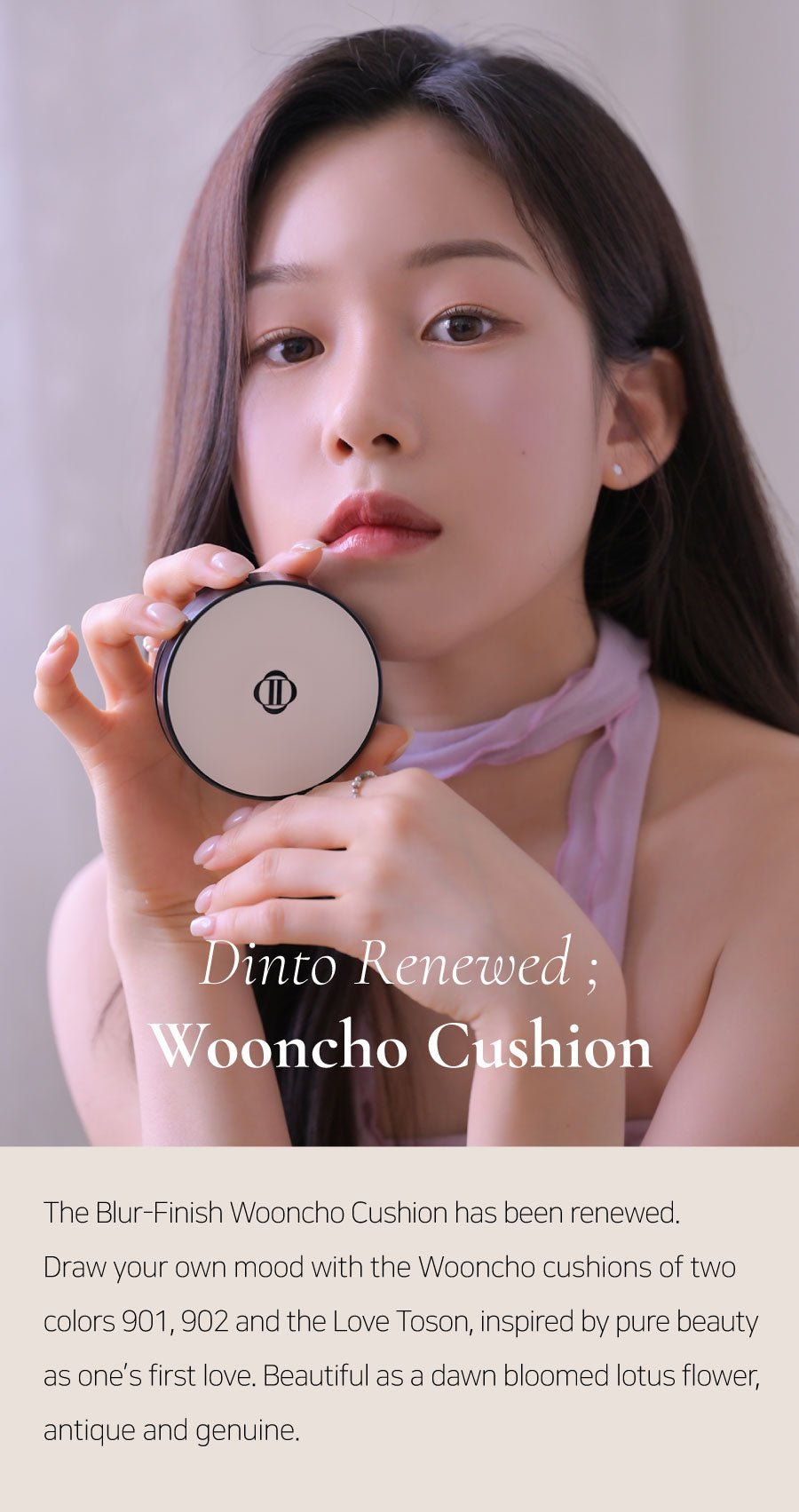 [Dinto] Blur-Finish Wooncho Cushion (2 Colors)